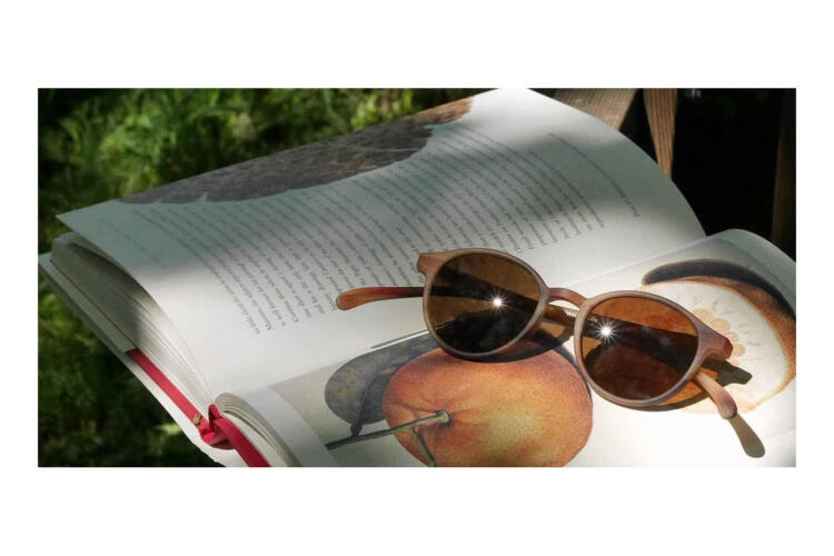 Klammeraffe-Sonnenlesebrille-no12-horn-illustration1 No. 12 Horn