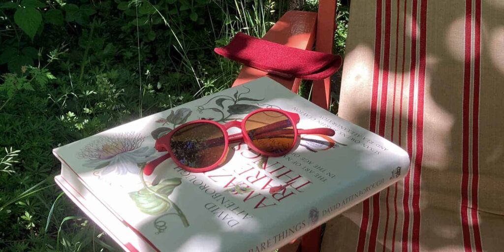 Accessories for reading glasses