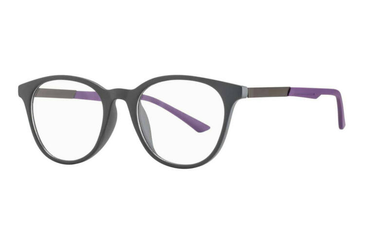 LEXXOO-Reading glasses-41295-3 4129 Gray purple