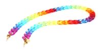  Rainbow Brillenkette