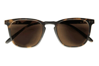 Playa, Tortoise brown