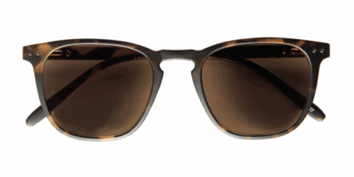 playahavanna1 Playa, Tortoise braun