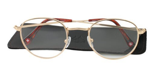 Lesebrille Montana Eyewear MR54 gold Produktbild auf Etui
