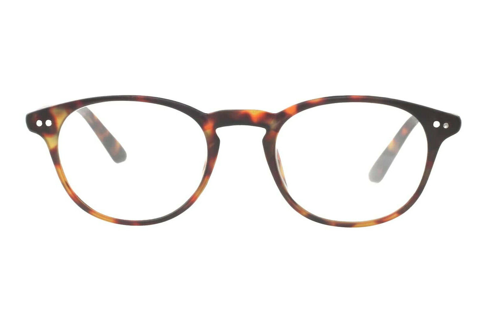 Doktor New, Tortoise - +2,5