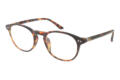 I NEED YOU reading glasses DOKTOR NEW havana side 2 I NEED YOU reading glasses DOKTOR NEW havana side 2