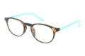 Doctor New, Tortoise turquoise