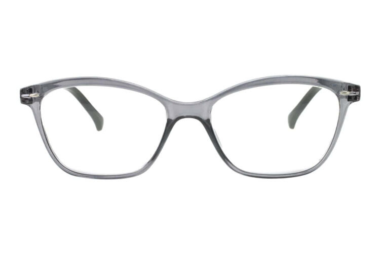 Reading glasses LEXXOO 4120A gray frontal