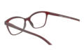 LEXXOO Reading glasses 4120A red inside