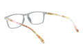 LEXXOO Reading glasses 4128B gray marbled inside