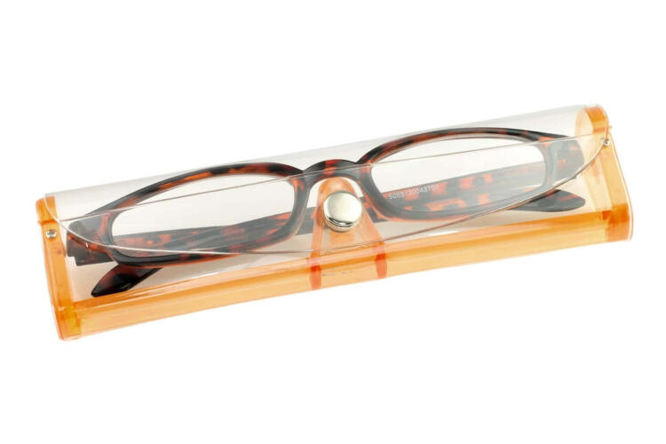 Lesebrille-Montana-R66-braun-mit-etui R66 Braun