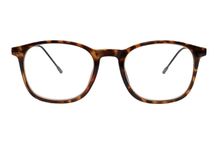 Lesebrille Lexxoo 4153 demi-braun frontal