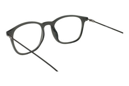 Lesebrille Lexxoo 4153 grau innen