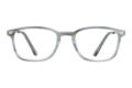 Lesebrille LEXXOO 4240B hellgrau frontal