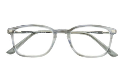 Reading glasses LEXXOO 4240B light gray closed