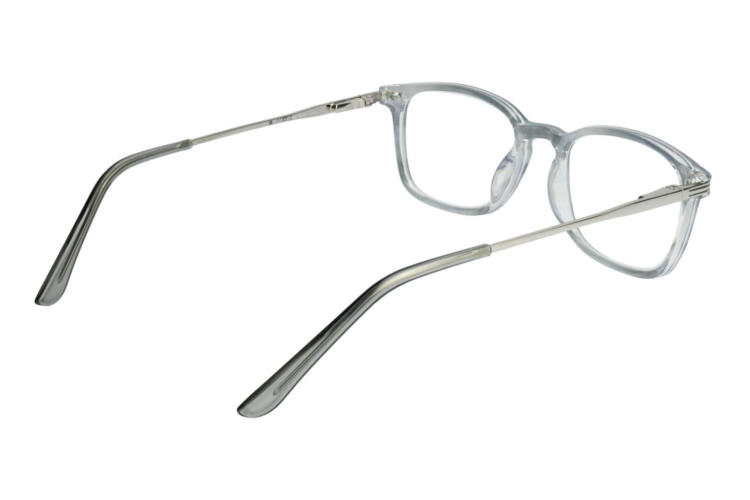 LEXXOO Lesebrille 4240B hellgrau innen Lesebrille LEXXOO 4240B hellgrau innen