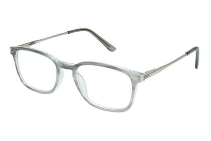 Lesebrille LEXXOO 4240B hellgrau seitlich