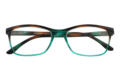 Lesebrille LEXXOO 4092 braun-petrol geschlossen