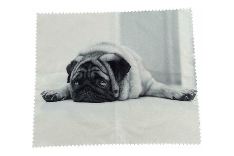 Victoria-Collection-Dogs-Mops-Etui-Tuch-solo Lesebrillen Etui Victoria Collection Mops