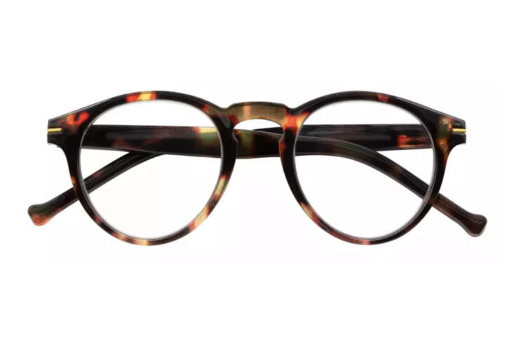 I Need You Lesebrille frankie havanna dunkel frontal Frankie Tortoise dunkel
