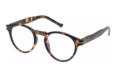 I Need You Lesebrille frankie havanna dunkel seitlich Frankie Tortoise dunkel