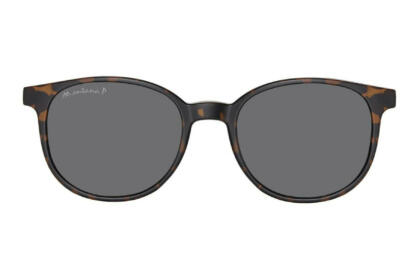 Sun clip Montana MRC2 havana frontal