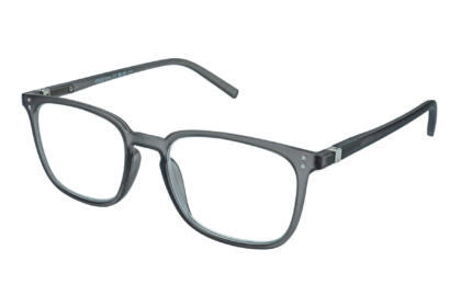 Lesebrille.de Kollektion LB1001 grau seitlich