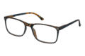 Lesebrille Lexxoo 4121A braun seitlich