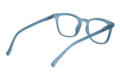 Reading glasses LEXXOO 4122 blue inside Reading glasses LEXXOO 4122 blue inside