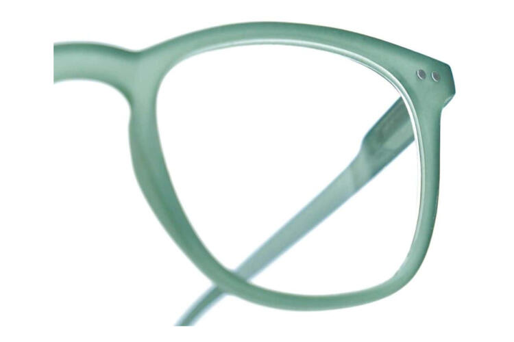 Reading glasses LEXXOO 4122 green extra Reading glasses LEXXOO 4122 green extra