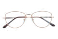 Lesebrille Lexxoo 4153B rosegold geschlossen Lesebrille Lexxoo 4153B rosegold geschlossen