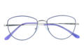Reading glasses LEXXOO 4153B purple closed