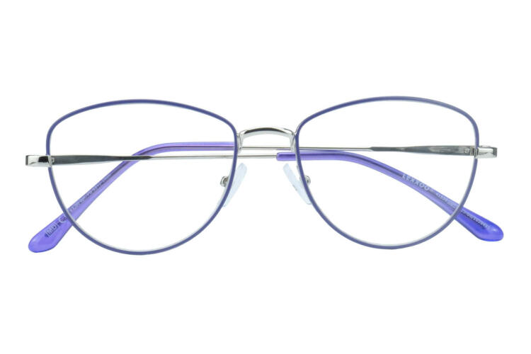 Reading glasses LEXXOO 4153B purple closed Reading glasses LEXXOO 4153B purple closed