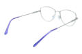 Reading glasses LEXXOO 4153B purple inside