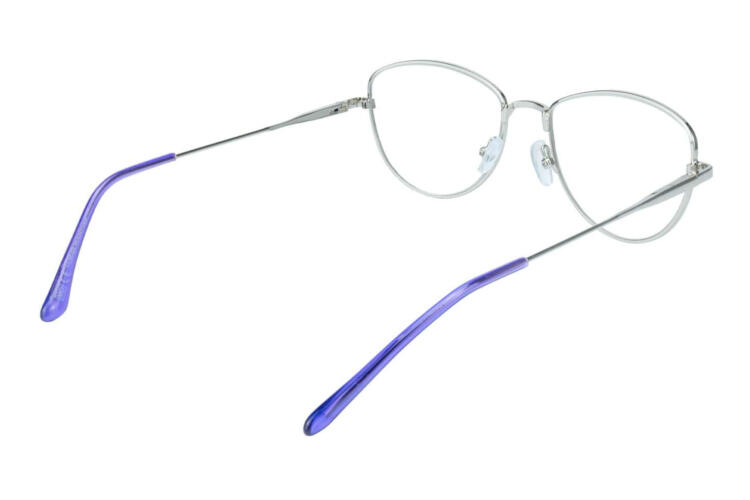 Reading glasses LEXXOO 4153B purple inside Reading glasses LEXXOO 4153B purple inside
