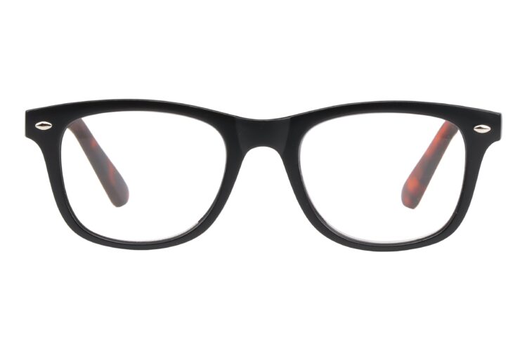 ASM-SURFER-BLACK-HAVANA_additional_image_1 SURFER with photochromic lenses, black/tortoise
