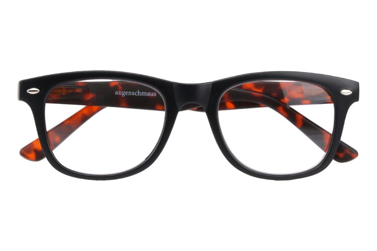 ASM-SURFER-black-havanna_front-closed SURFER with photochromic lenses, black/tortoise