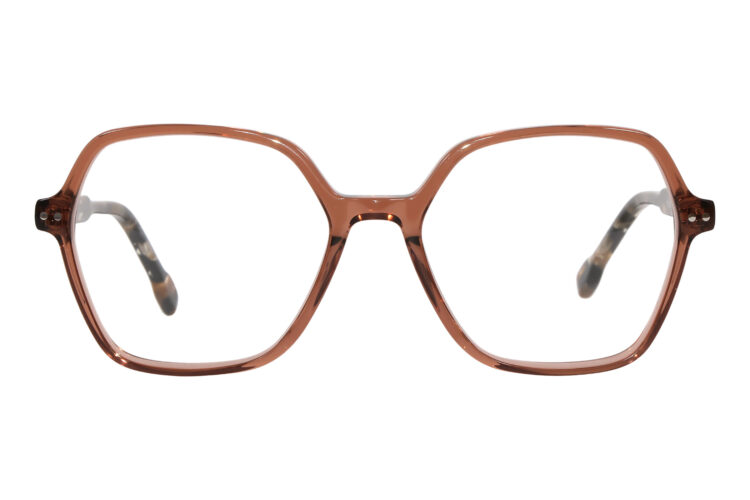 BRI-HIBISCUS-TORTOISE_frontal Hibiscus, tortoise