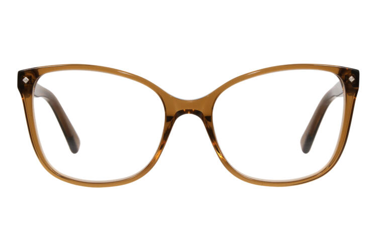 BRI-TULIP-BRAUN_frontal Tulip, braun