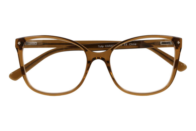 BRI-TULIP-BRAUN_frontal_geschlossen Tulip, braun