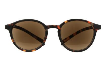 KLA-12SUN-havanna_frontal No. 12, Tortoise