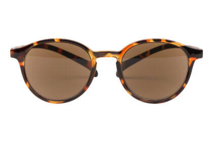KLA-12SUN-tortoise_frontal No. 12 SUN tortoise
