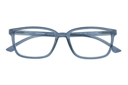 Reading glasses LEXXOO 4060B dark gray closed
