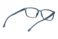 Reading glasses LEXXOO 4060B dark gray inside