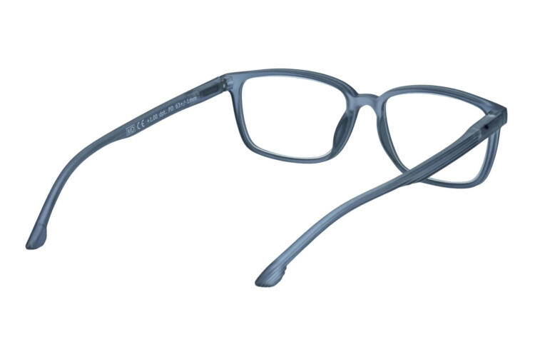 Reading glasses LEXXOO 4060B dark gray inside