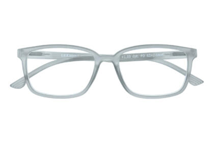 Lesebrille Lexxoo 4060B hellgrau geschlossen