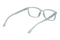 Reading glasses LEXXOO 4060B light gray inside