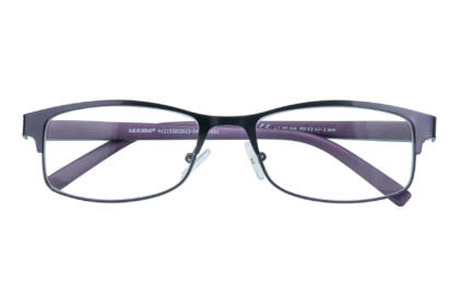 Reading glasses LEXXOO 4121B purple closed