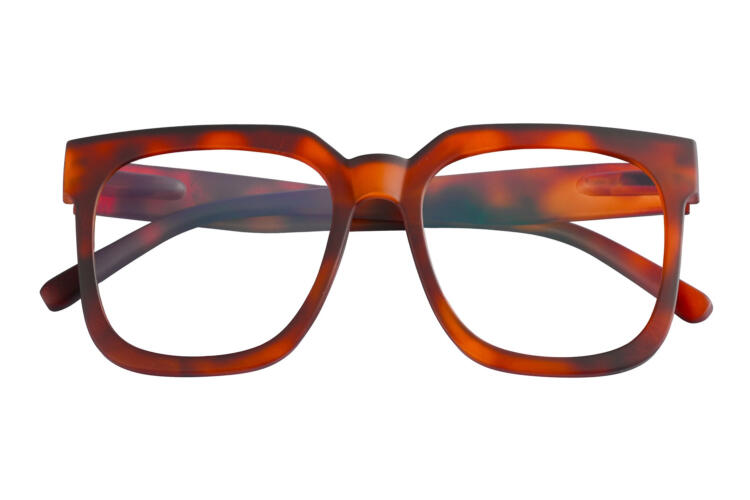 bazaar-frontal-closed-havana-dark BAZAAR, Tortoise dark