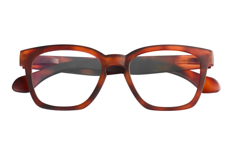 guardian-frontal-geschlossen-havanna-dunkel GUARDIAN, Tortoise dunkel