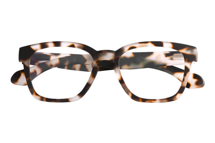 guardian-frontal-geschlossen-tortoise GUARDIAN, Tortoise